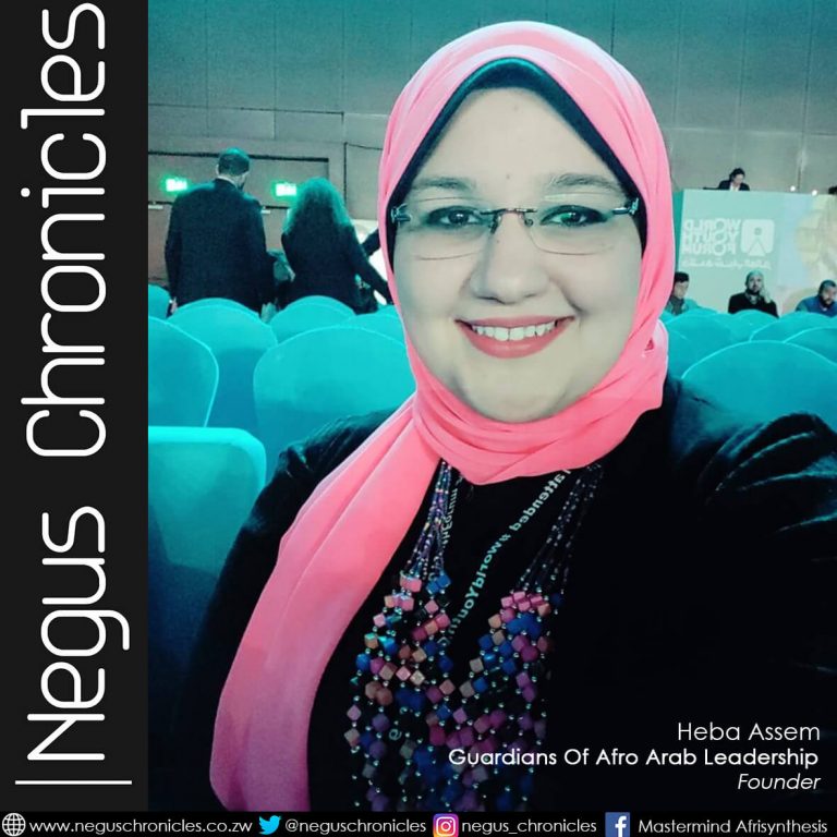 guardians of afroarab leadership heba assem african youth leaders