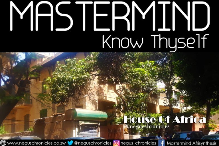 Apply: Nasser Fellowship for International Leadership Cohort 3 House Of Africa negus