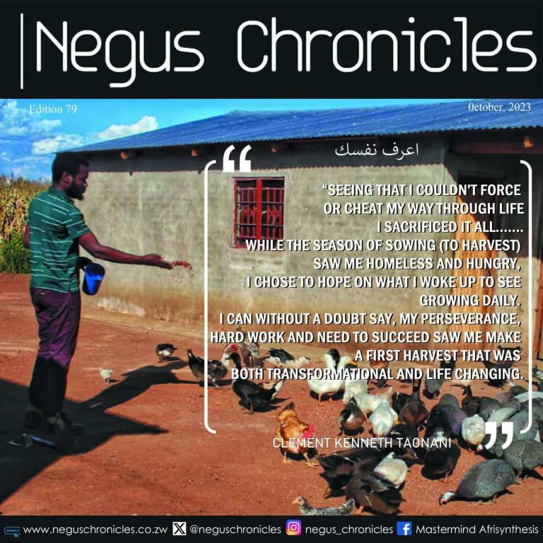 Negus Chronicles: Clement Kenneth Taonani Clement Kenneth Taonani CEO Nthawi Farms, changing the way Africa does Agriculture.