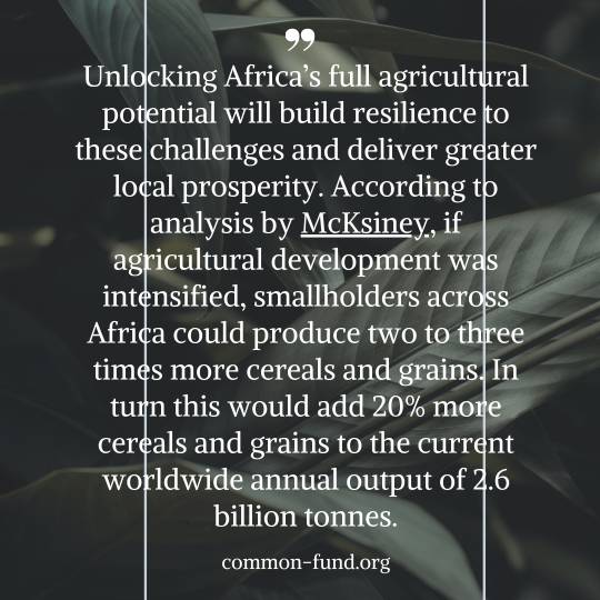 common-fund.org African youths in Agriculture potential