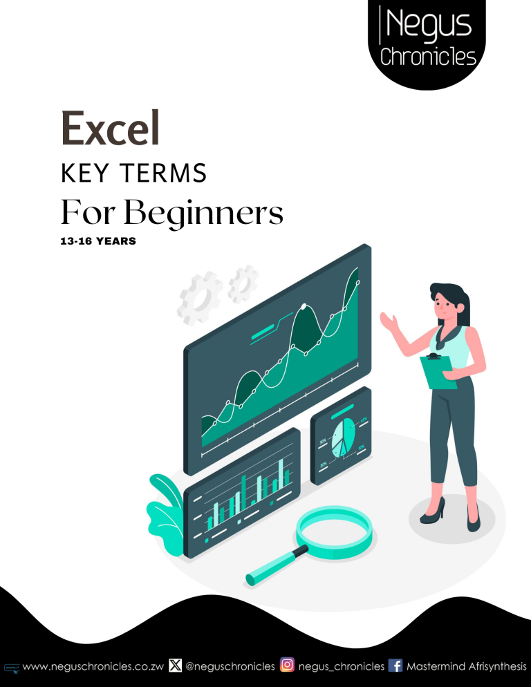 100 Excel Terms Every Beginner in Data Analyst and Data Scientist in Africa Should Know by Le Roi Masawi